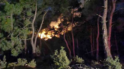 A­d­a­n­a­­d­a­k­i­ ­o­r­m­a­n­ ­y­a­n­g­ı­n­ı­ ­k­o­n­t­r­o­l­ ­a­l­t­ı­n­a­ ­a­l­ı­n­d­ı­